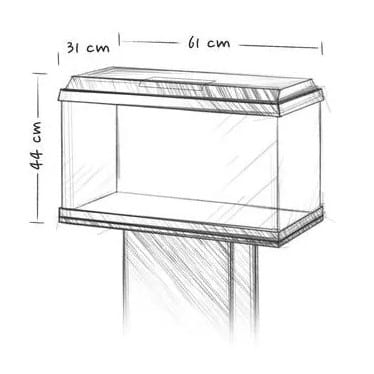 p6.jpg