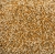 Variety_Sticks_T803617.jpg