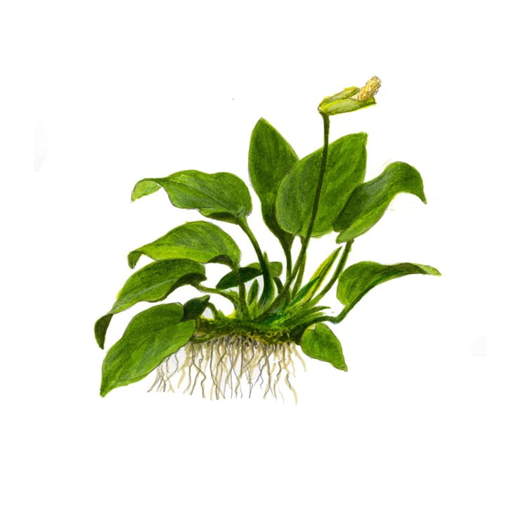 /s/3/s3_1_4.jpg