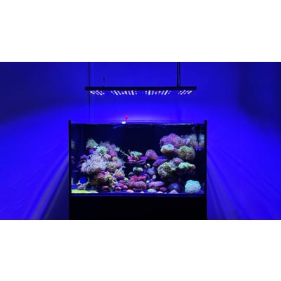 /4/0/400px_aqua99999max8.jpg