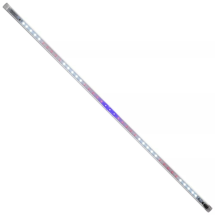 aquaelppp.jpg