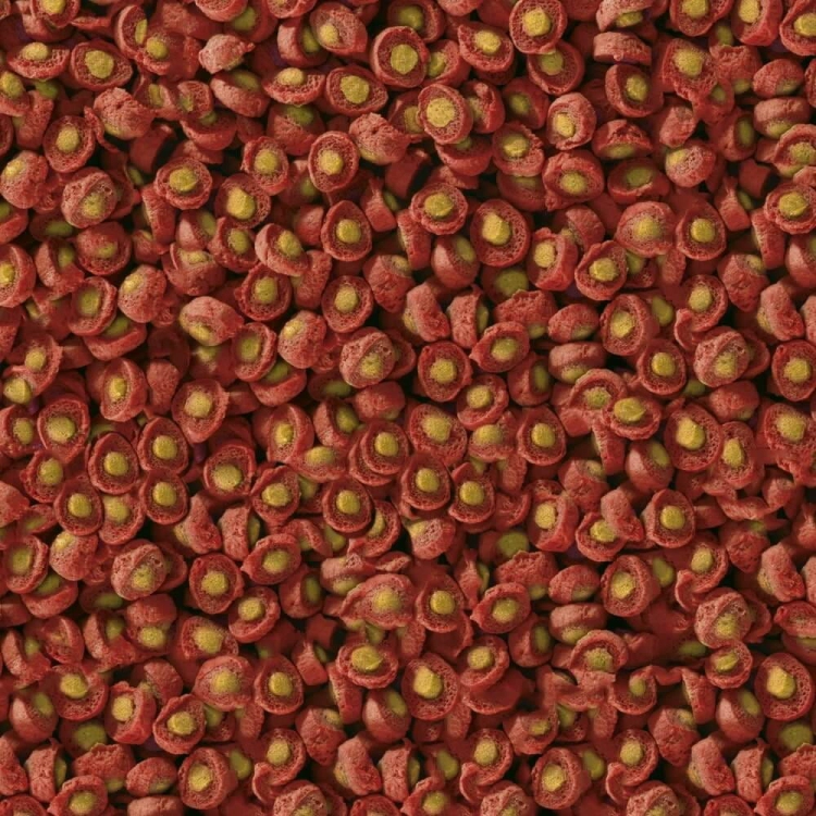 sera_koi-professional-sprin-autumn-food-lekkostrawny-pokarm-dla-koi-na-wiosn_-jesie_.jpg