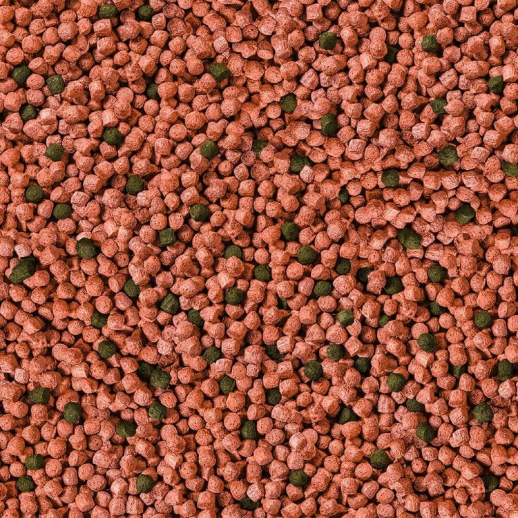 sera_koi_junior_all_seasons_probiotic_500g_pokarm_dla_m_odych_koi_2_.jpg