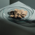 /w/e/wels_nuggets_soft_carnivor_streambiz_-_streambiz.de.png