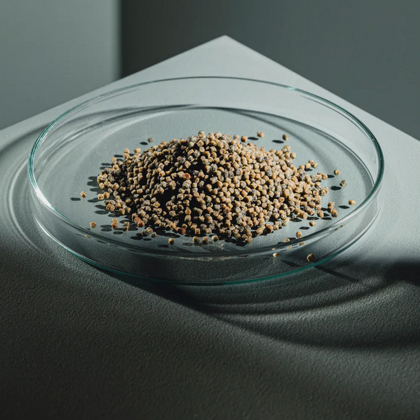/c/i/cichlid_spirulina_granules_streambiz_-_streambiz.de_1_.png