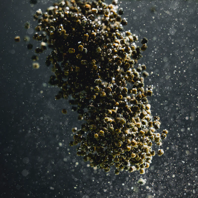 /-/_/-_cichlid_spirulina_granules_streambiz_-_streambiz.de.png