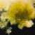 /-/_/-_guppy_color_granules_streambiz_-_streambiz.de.png