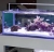 MicMol Aqua Air 300 20W Oświetlenie LED do akwarium morskiego