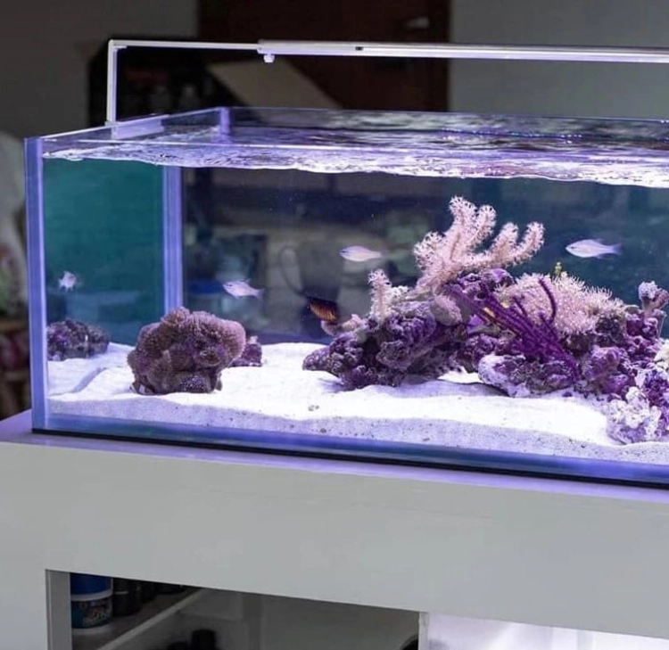 MicMol Aqua Air 1200 65W Oświetlenie LED do akwarium morskiego
