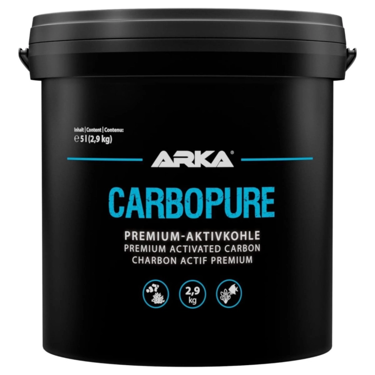 arka.jpg