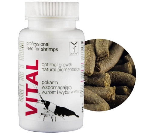 vital30g.jpg