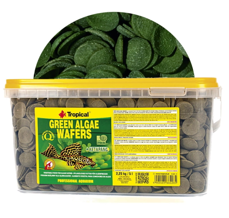 greenalgaewafers5L.jpg
