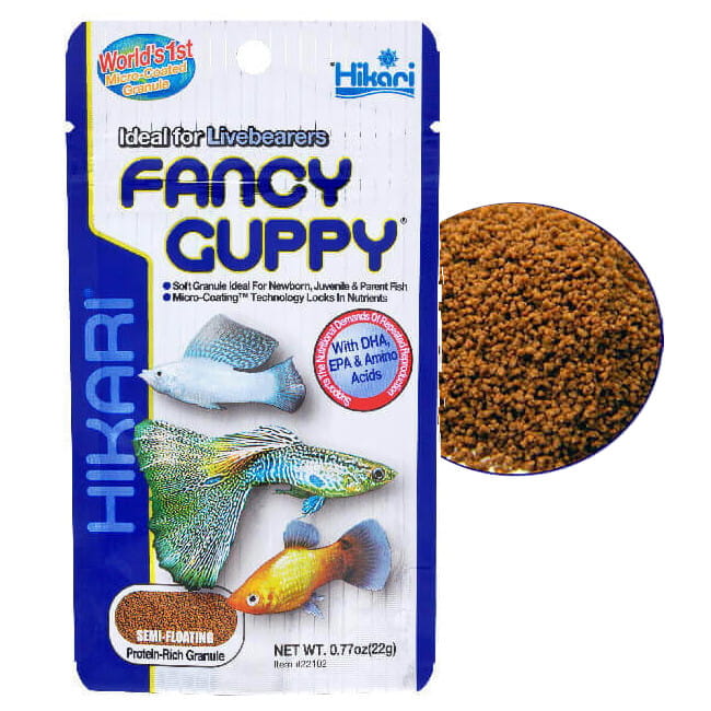 fancyguppy22g.jpg
