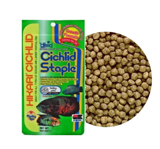 cichlidstaplebaby57.jpg