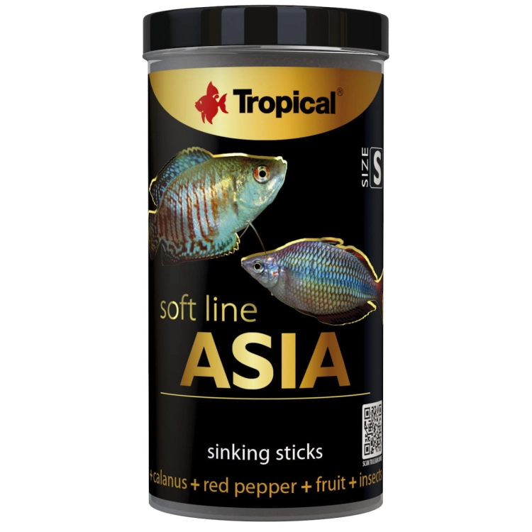 asia 100.jpg