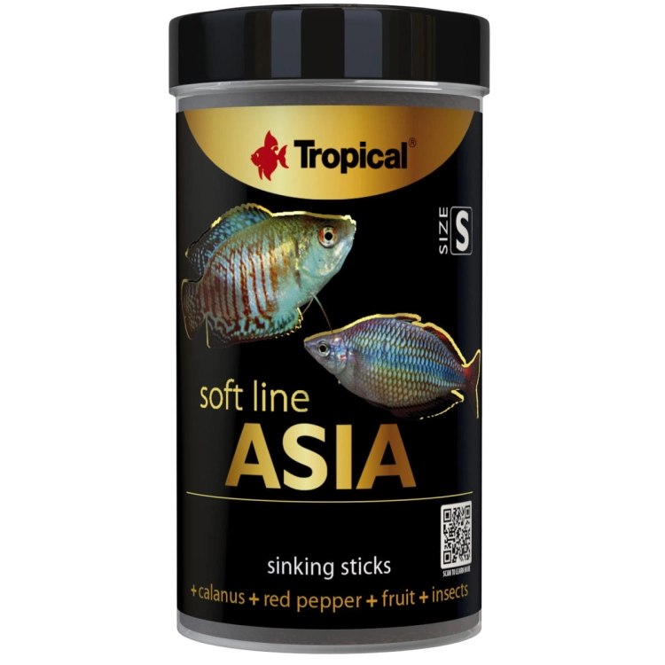 asia 100 100.jpg