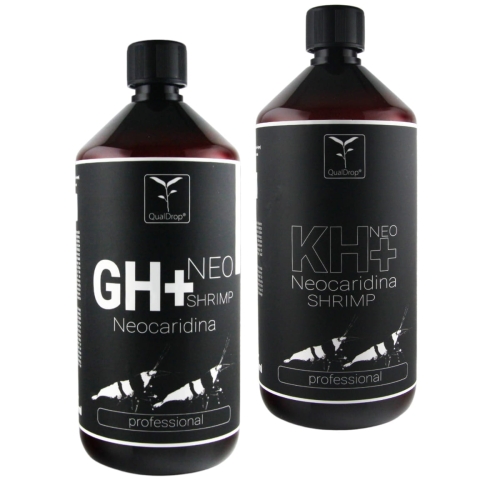 GH_KH1000