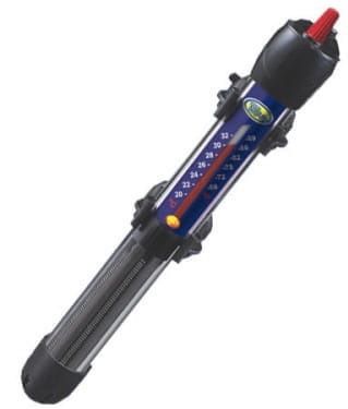 nha-100.jpg