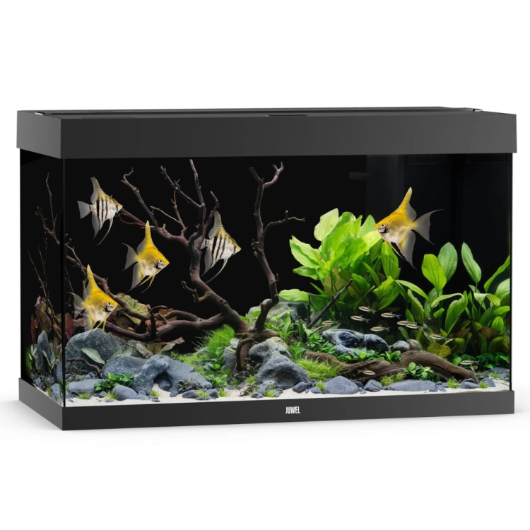 Juwel Rio 290 LED akwarium zestaw czarny