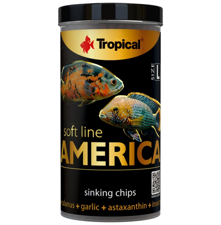 SOFT LINE AMERICA L (2).jpg