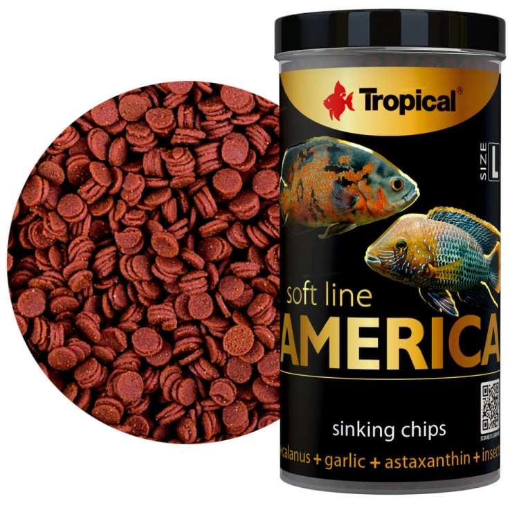 SOFT LINE AMERICA L (3).jpg