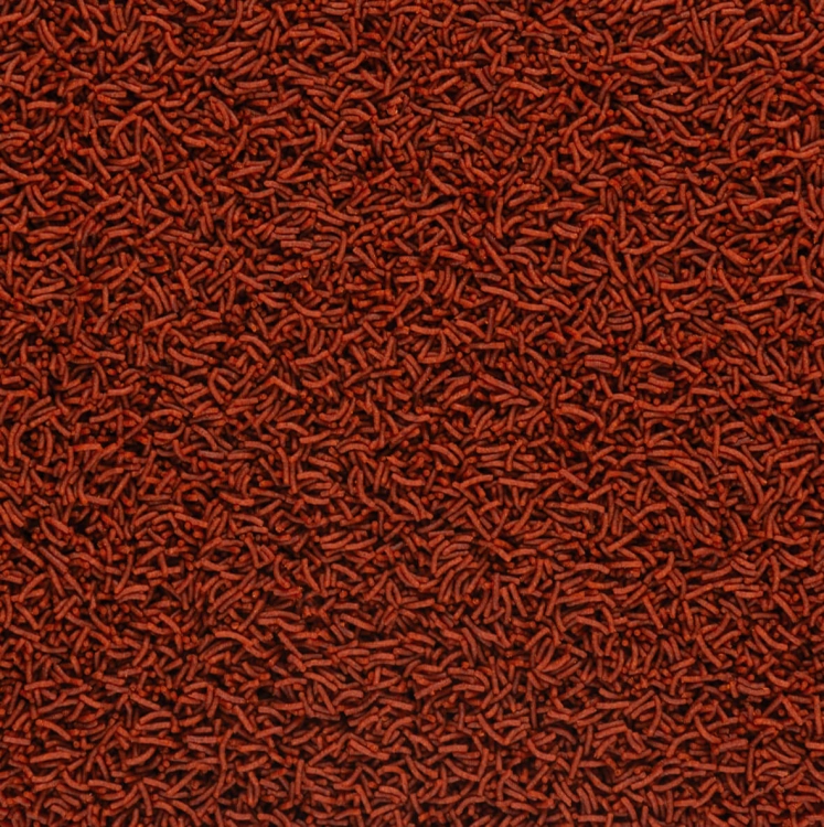 sotft line s (1).jpg