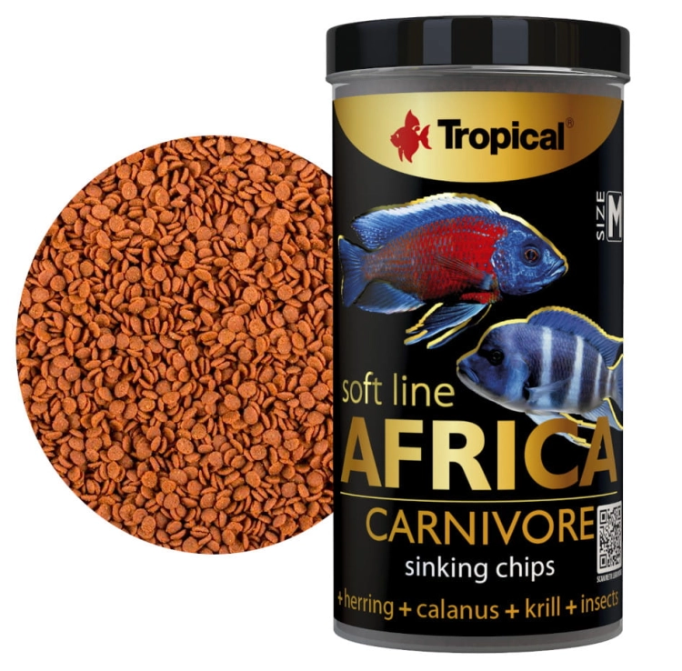 Tropical Soft Line Africa Carnivore M (1).jpg