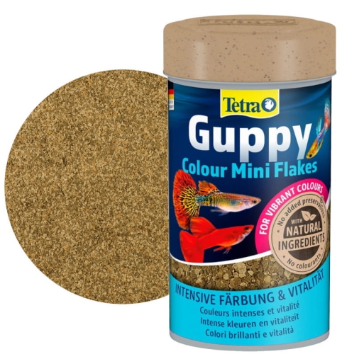 Tetra Guppy Colour Mini Flakes (2).jpg