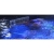 Red Sea MAX E Model 170 Czarny - Zestaw akwarium morskie + szafka