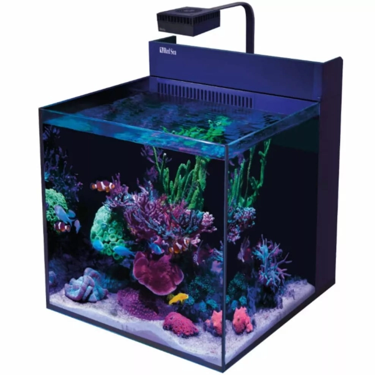 Red Sea Max Nano XL G2 125 l - Zestaw akwarium morskie