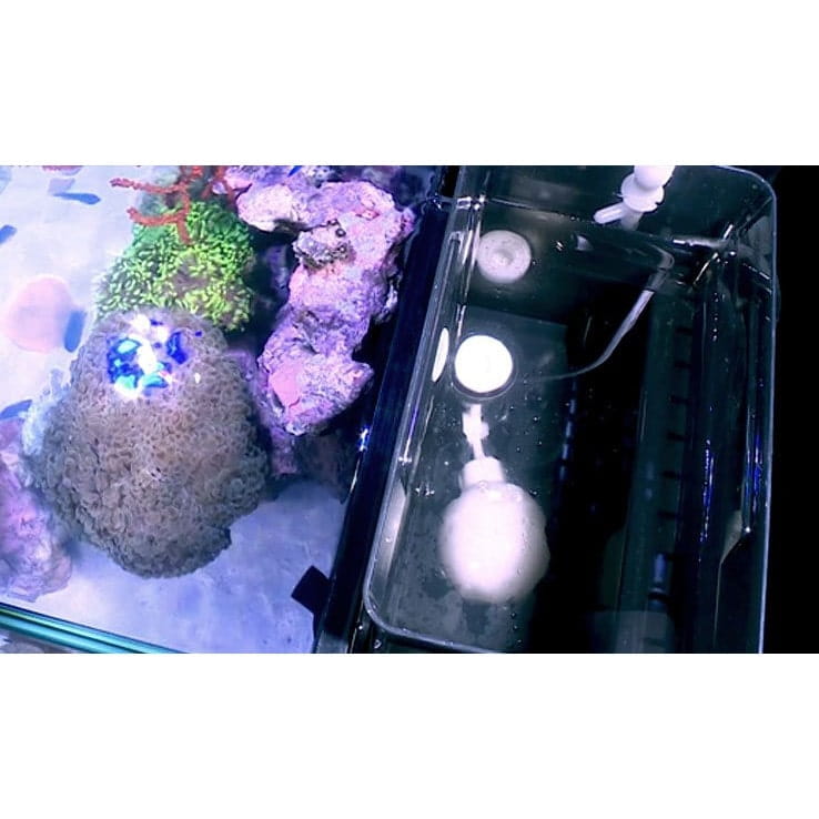 /r/e/red_sea_max_nano_peninsula_reef_system_100l_-_5-min_2.jpg