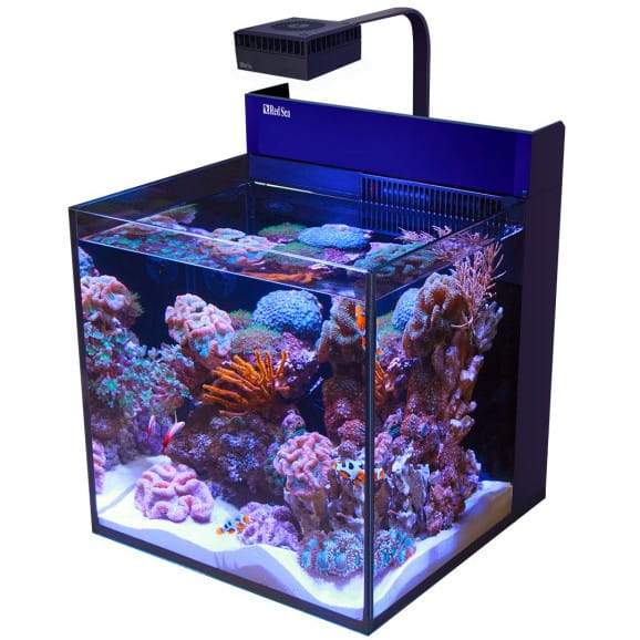 /r/e/red-sea-max-nano-cube-g2-czarna-sza.jpg