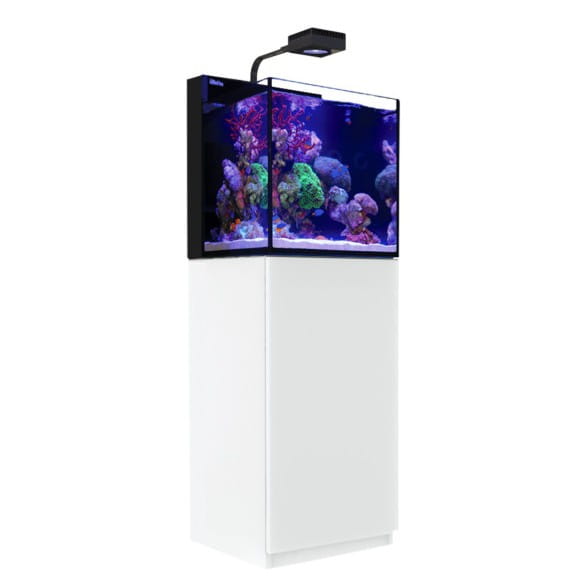 /r/e/red-sea-max-nano-cube-g2-biala-szafk.jpg