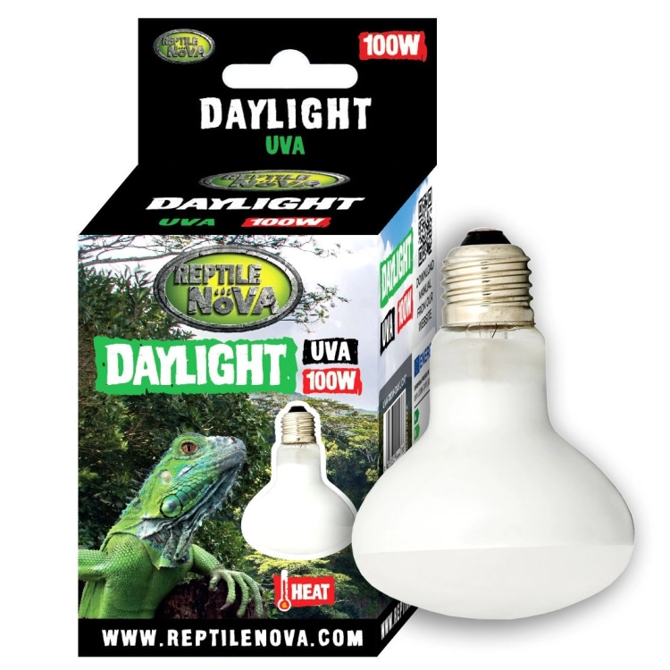DAYLIGHT_100W_BULB.jpg
