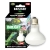 DAYLIGHT_75W_BULB.jpg