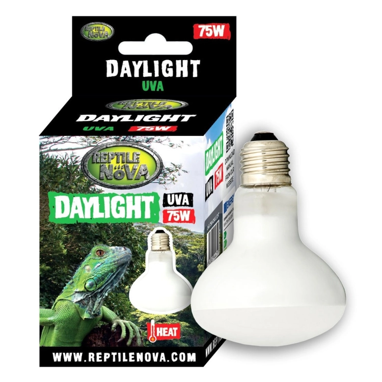 DAYLIGHT_75W_BULB.jpg
