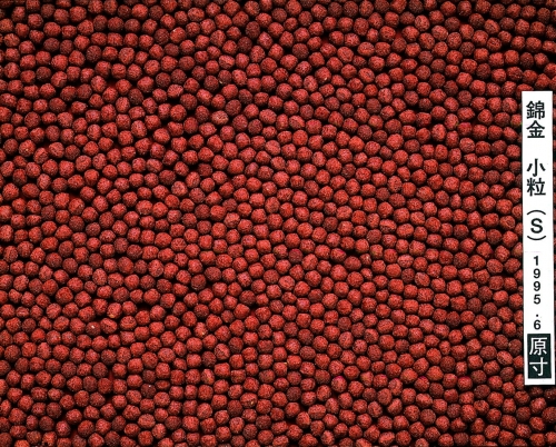 Hikari Cichlid Gold Mini 57g pokarm dla pielęgnic
