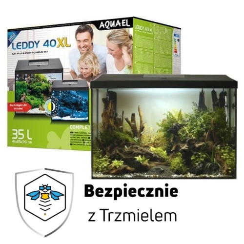 ub.jpg