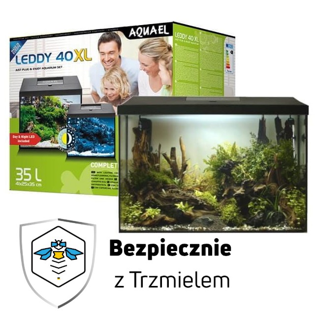ub.jpg