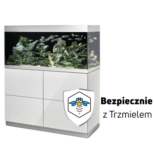 ub.jpg