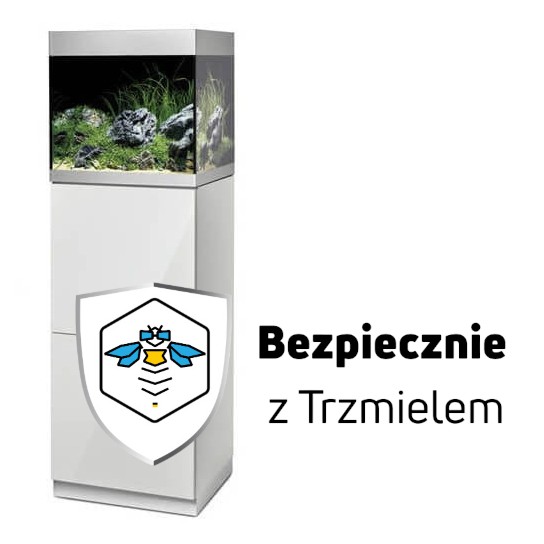 ub.jpg