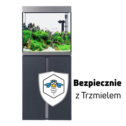 ub.jpg