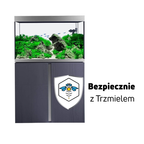 ub.jpg