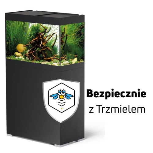 ub.jpg