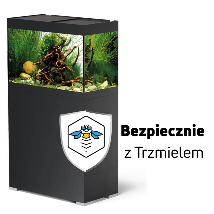 ub.jpg