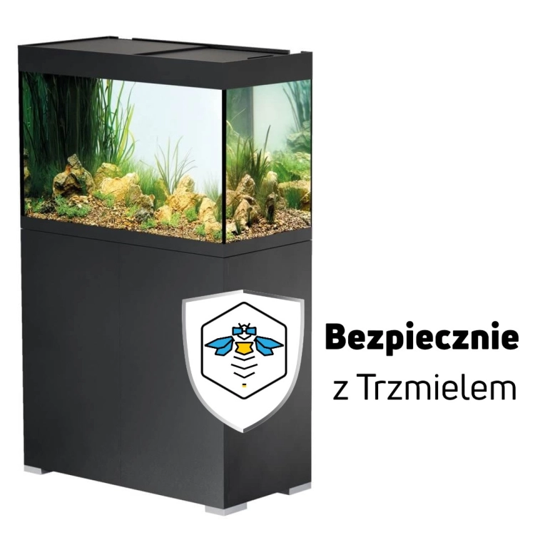 ub.jpg