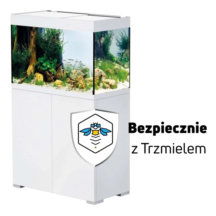 ub.jpg