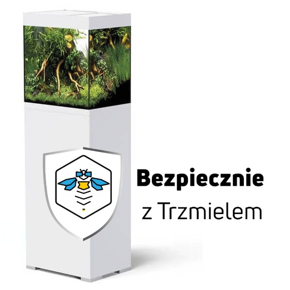 ub.jpg