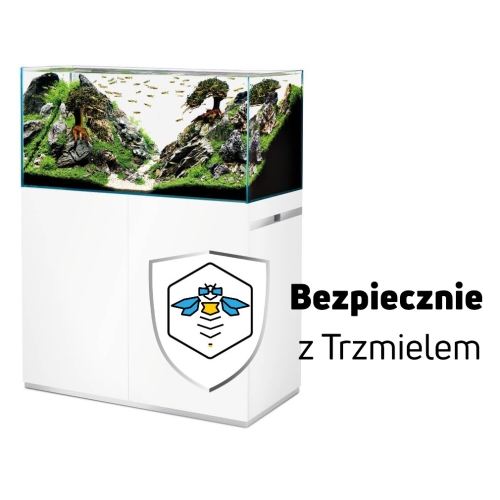 ub.jpg