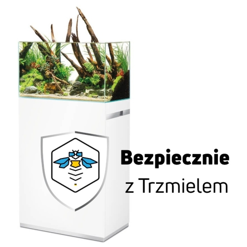 ub.jpg